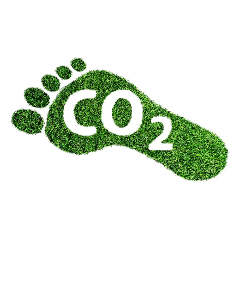 A footprint made of grass, with the text "CO2" written inside